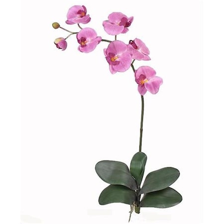 Dare2Decor Phalaenopsis Silk Orchid Flower with Leaves Mauve 6 Stems DA2623856